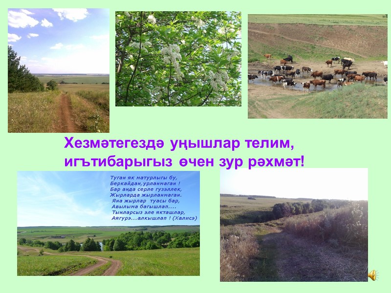 Хезмәтегездә уңышлар телим, игътибарыгыз өчен зур рәхмәт!